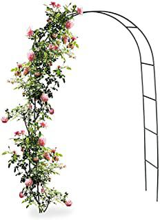 Miglior fiori per giardino