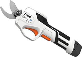 Miglior forbici da potatura a batteria