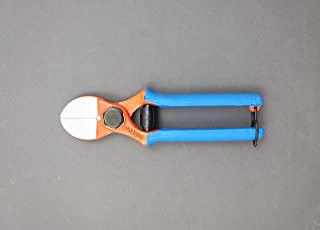 Miglior forbici da potatura due buoi