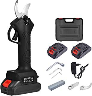 Miglior forbici potatura elettriche