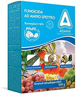 Miglior funghicida piante