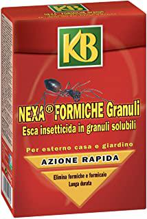 Miglior insetticida formiche