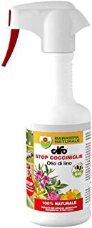 Miglior insetticida naturale per afidi