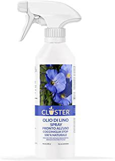 Miglior insetticida per ciliegio