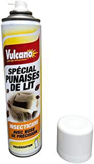 Miglior insetticida pulci