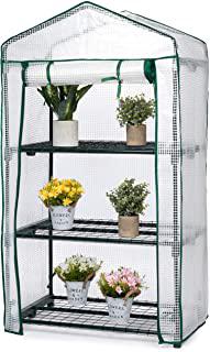 Miglior mini giardino