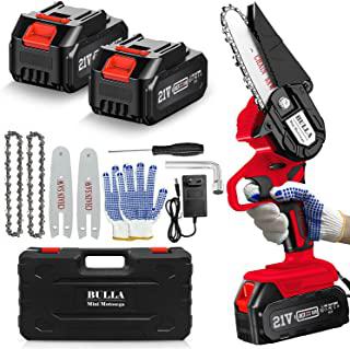 Miglior motoseghe a batteria per potatura