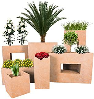 Miglior pallet giardino verticale