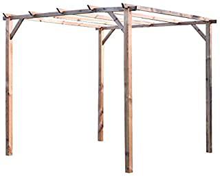 Miglior pergole da giardino