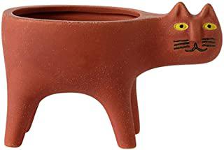 Miglior piante da giardino in vaso