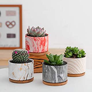 Miglior portavasi per orchidee
