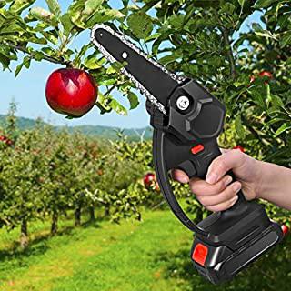 Miglior seghetto elettrico per potatura