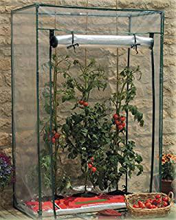 Miglior serra pomodori