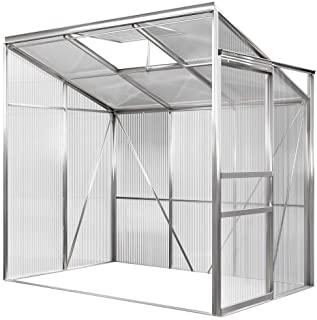 Miglior serre da giardino in vetro