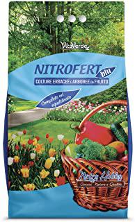 Miglior siepe da giardino crescita veloce