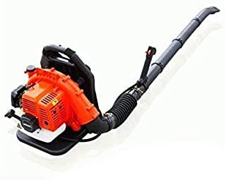 Miglior soffiatore echo