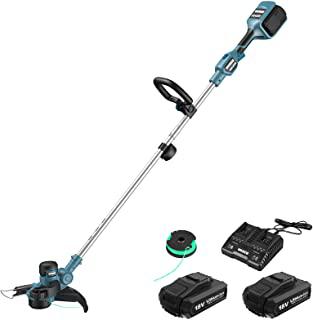 Miglior tagliabordi a batteria worx