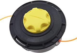Miglior tagliaerba echo
