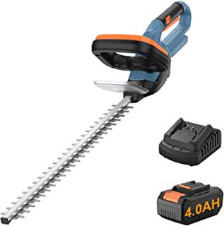 Miglior tagliasiepi batteria