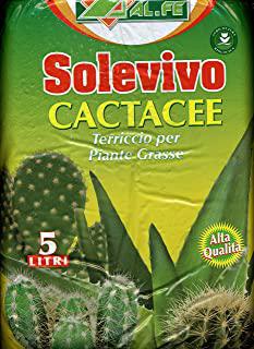 Miglior terriccio fertile