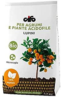Miglior terriccio per agrumi