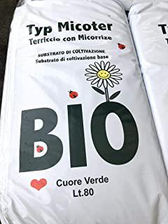 Miglior terriccio per orto