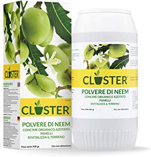 Miglior terriccio per piante aromatiche