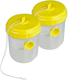 Miglior trappola per calabroni