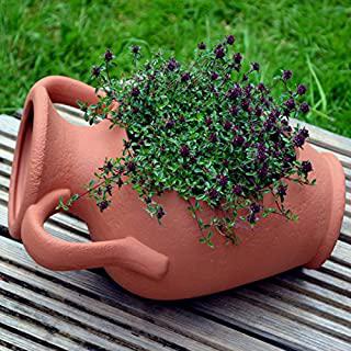 Miglior vasi da giardino terracotta