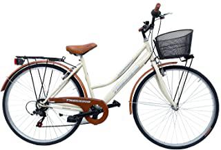 Miglior cestino bicicletta vintage