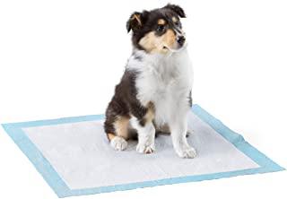 Miglior tappetini assorbenti per cani