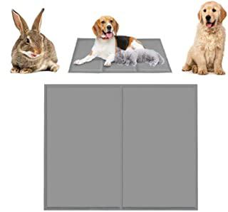 Miglior tappetino refrigerante cani