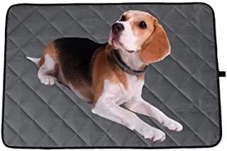 Miglior tappeto refrigerante per cani