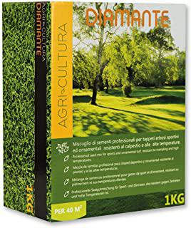 Miglior tappeto verde per giardino